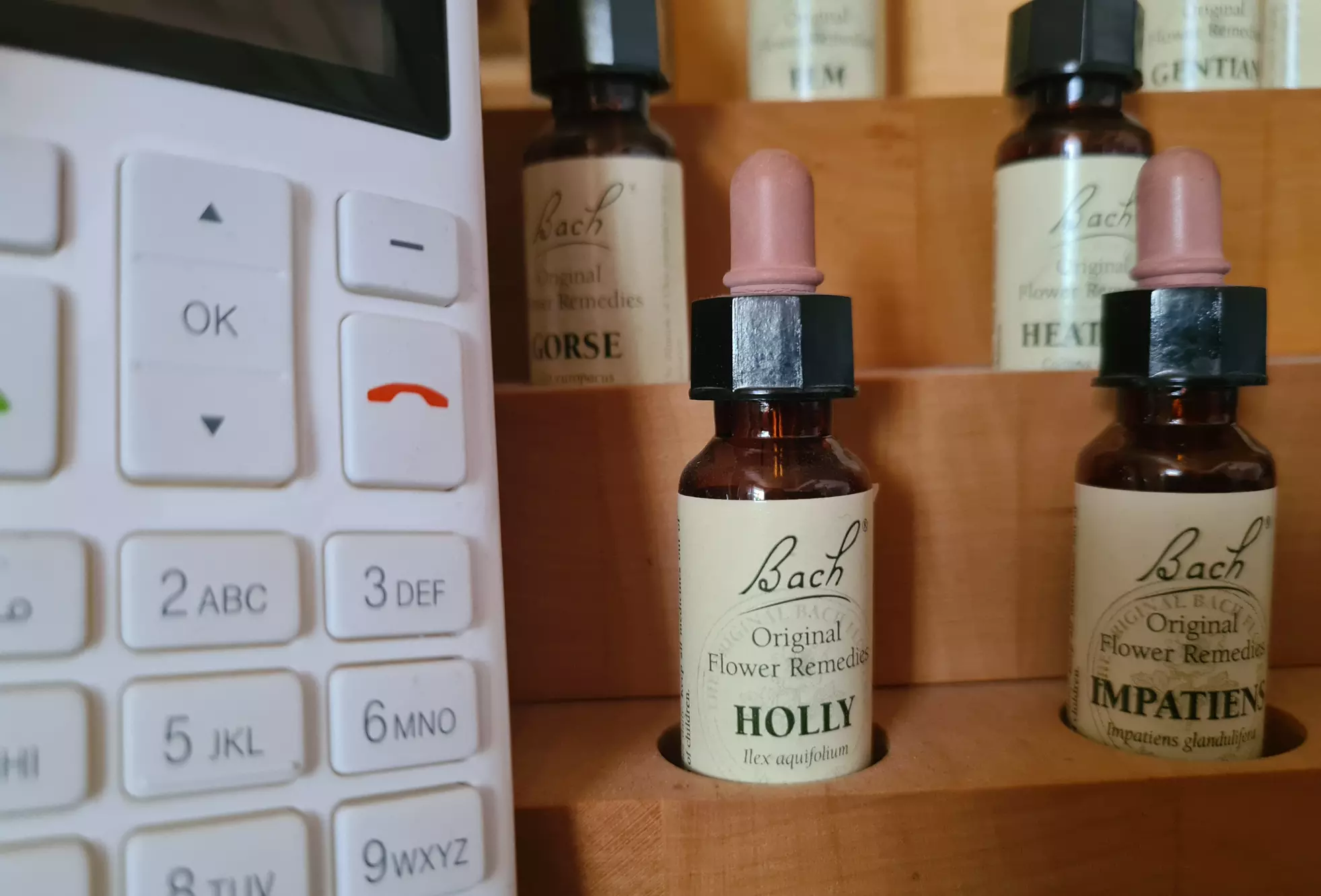 Berater – Life Coach – Online