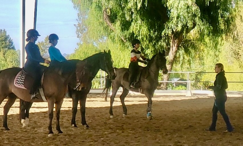Discover the joy of horseback riding with Rushton Stables, LA: Four comprehensive lessons for all ages up to 37% off