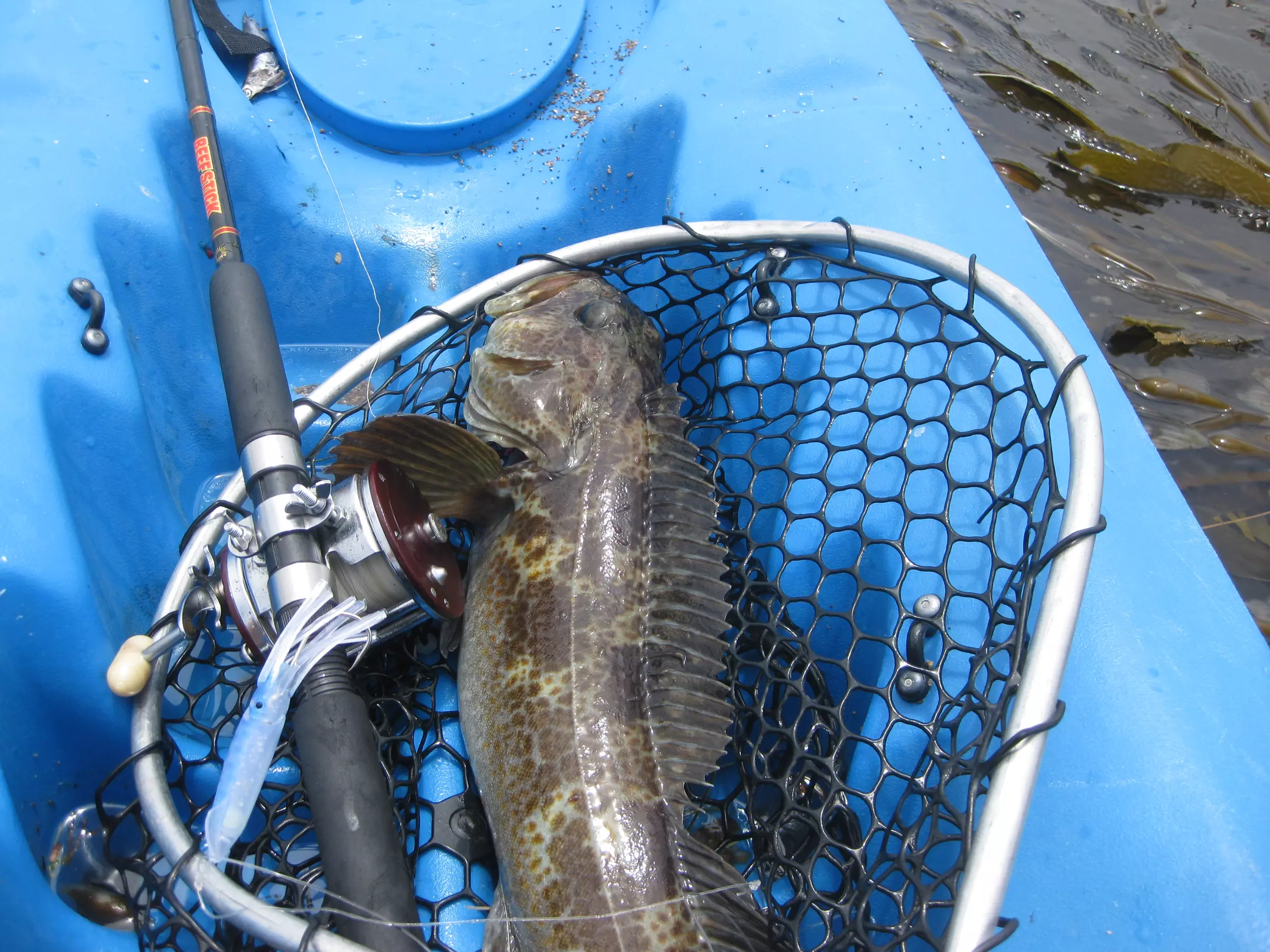 Up to 40% Off on Fishing at Pismo Adventures