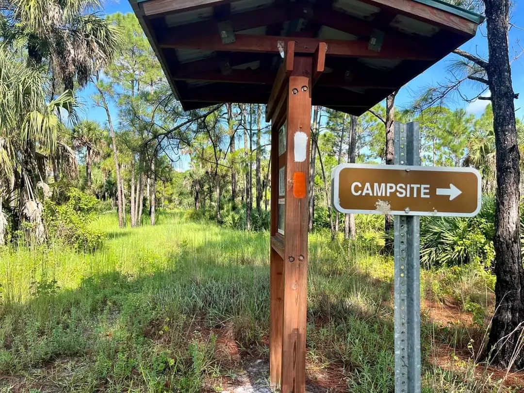 Guided Backpacking Treks in Florida Backcountry