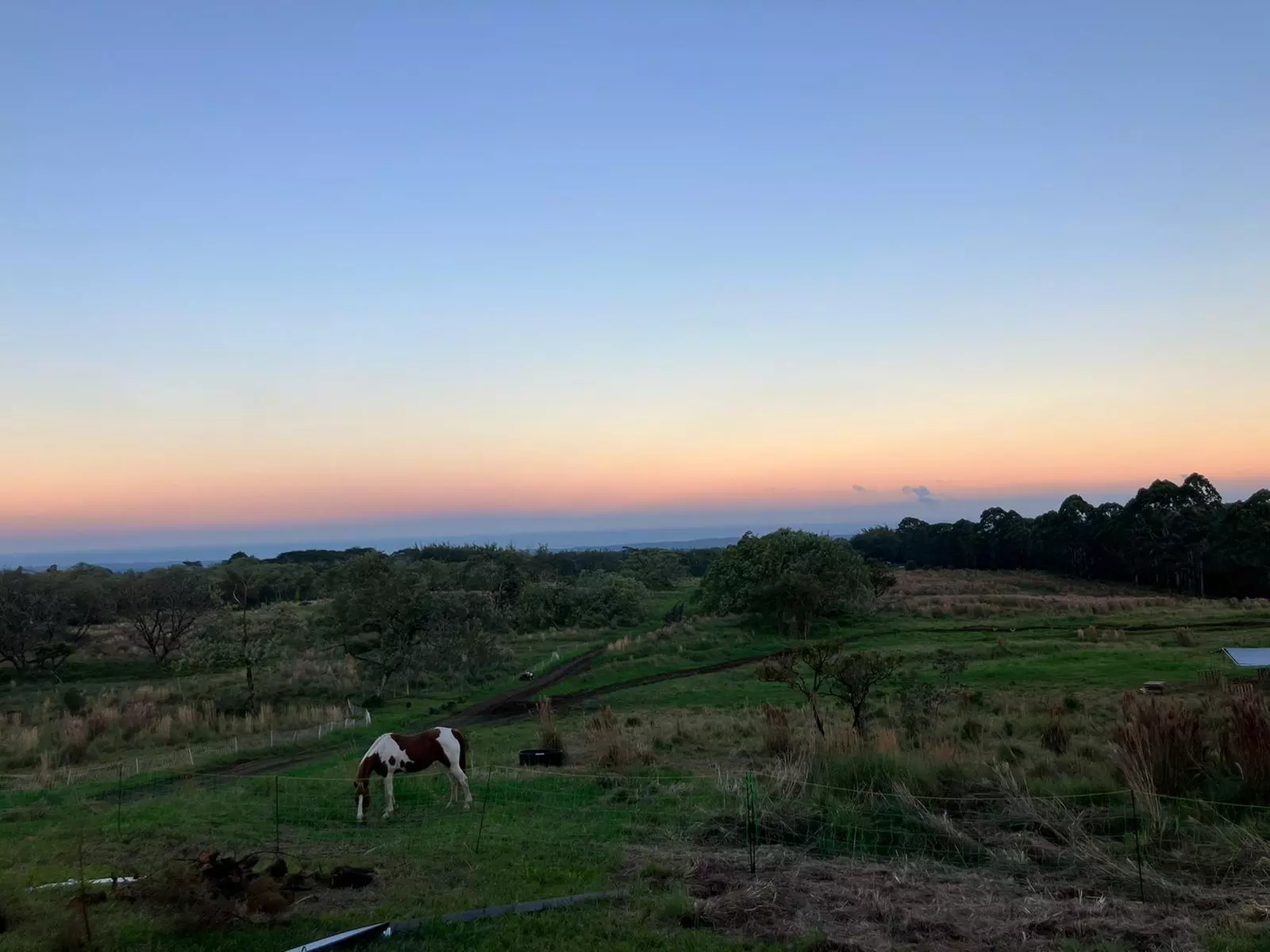 Up to 53% Off on Farm Tour at Ohana Ranch
