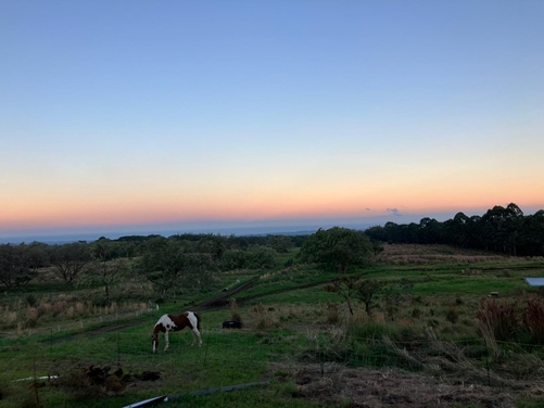 What to expect media