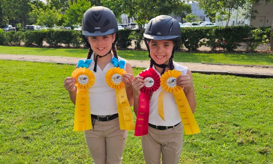 Image 4: Up to 25% Off on Horse Back Riding at Imperial Sporthorses