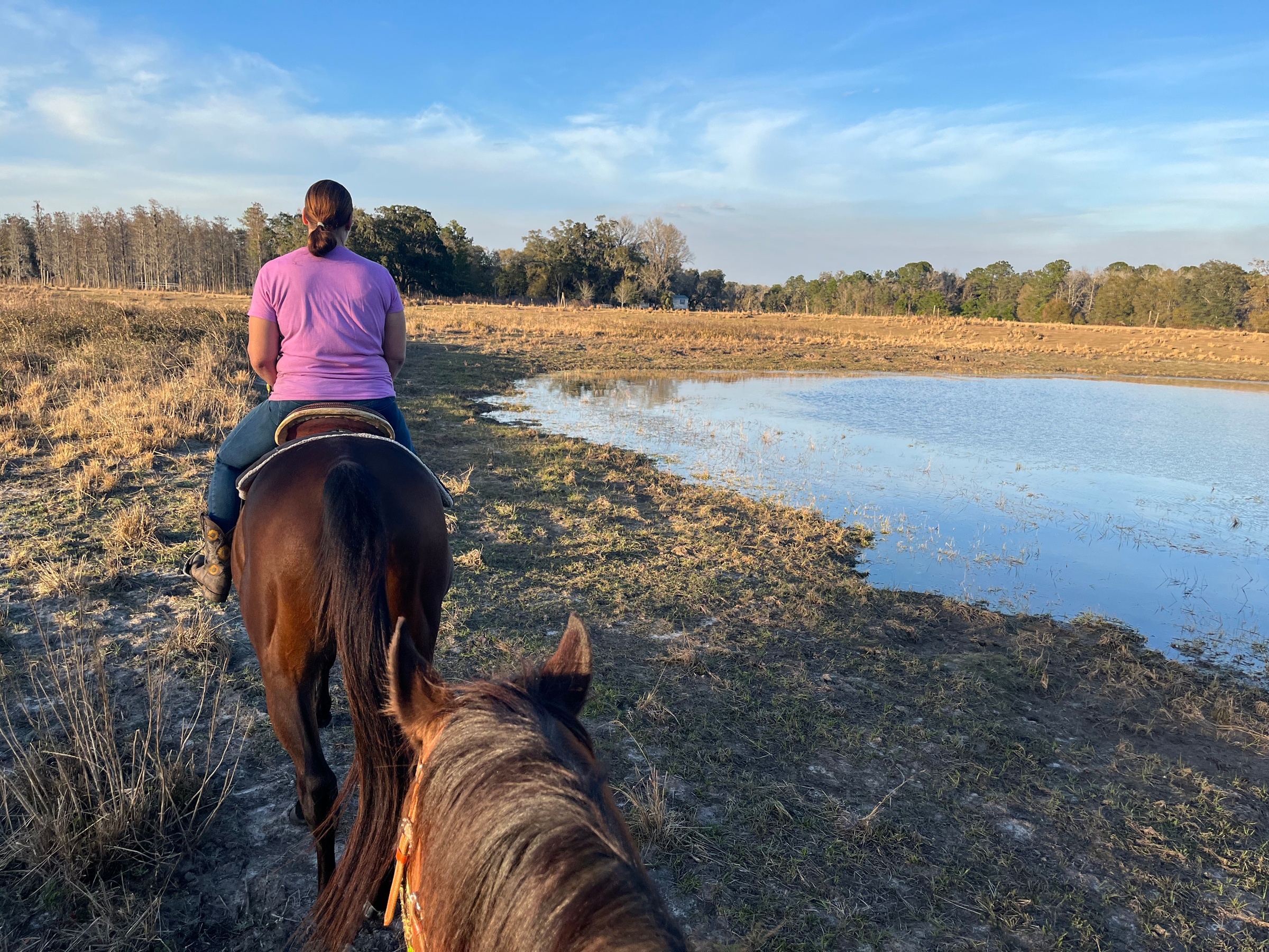 Up to 10% Off on Horse Back Riding - Adult Only at Bryant Manor Equestrian Center