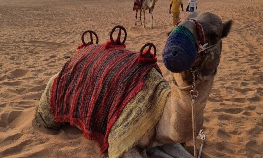 Image 2: Explore the Desert with One Day of Desert Safari; Valid Any Day