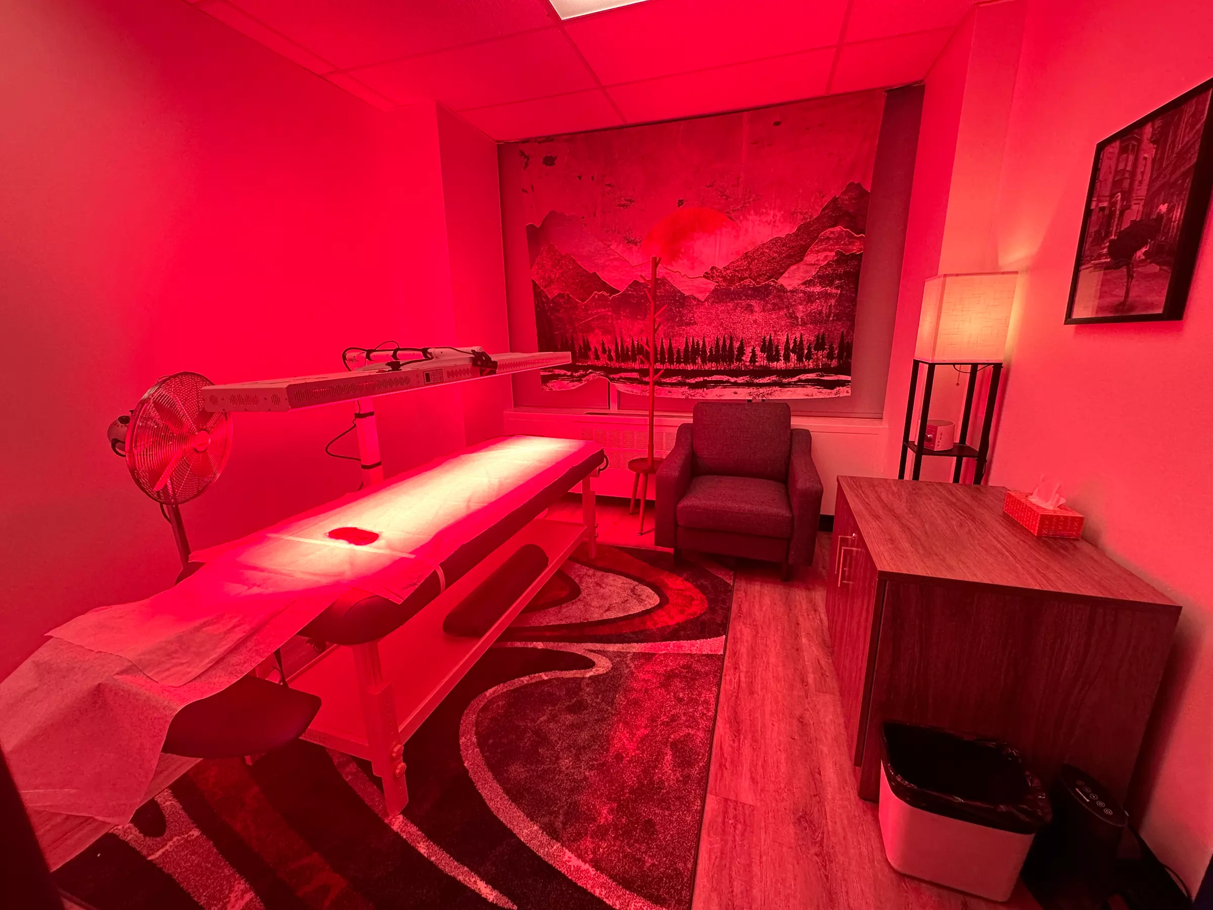 Up to 49% Off on  at THE TORONTO LIGHT THERAPY CLINIC - Second Medium