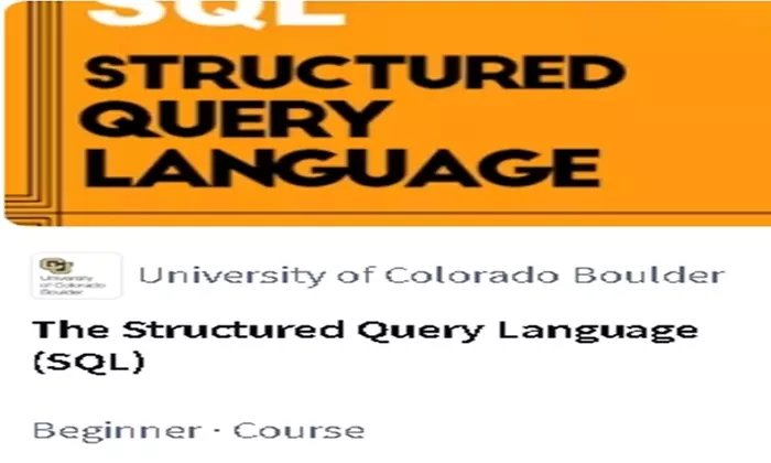 Academic Course at M and D Consultancy Project Development