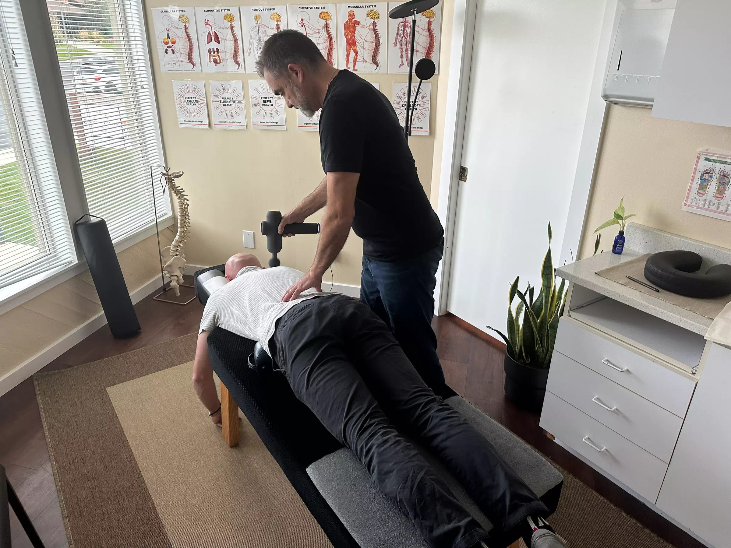 Chiropractic Consult & Adjustment Options Available