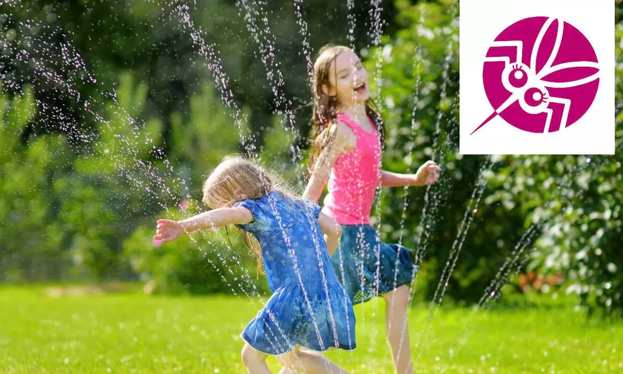 Mosquito Treatment for Your Yard: Effective Pest Control Solutions