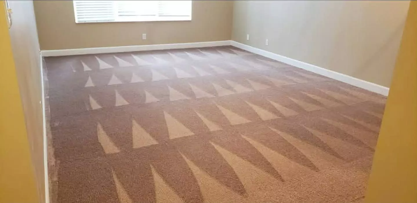Get a Thorough Carpet Cleaning for 2, 3, or 4 Rooms
