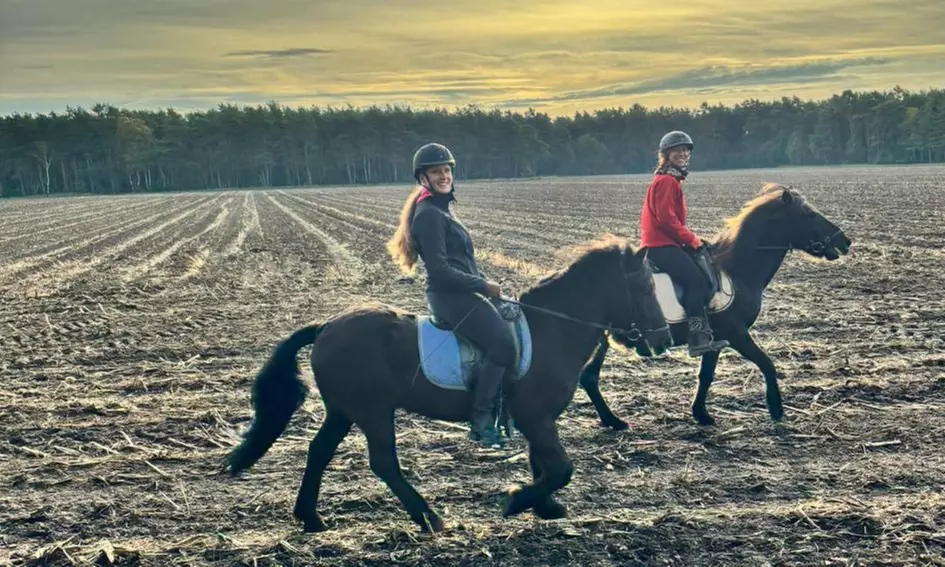 Bis zu 48% Rabatt auf Reiten – Training bei Geli's Hofcafe