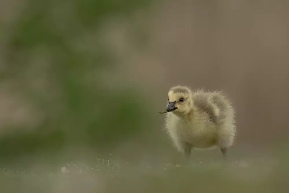 Wildlife Photography Workshop for Beginners at Touch the Wild