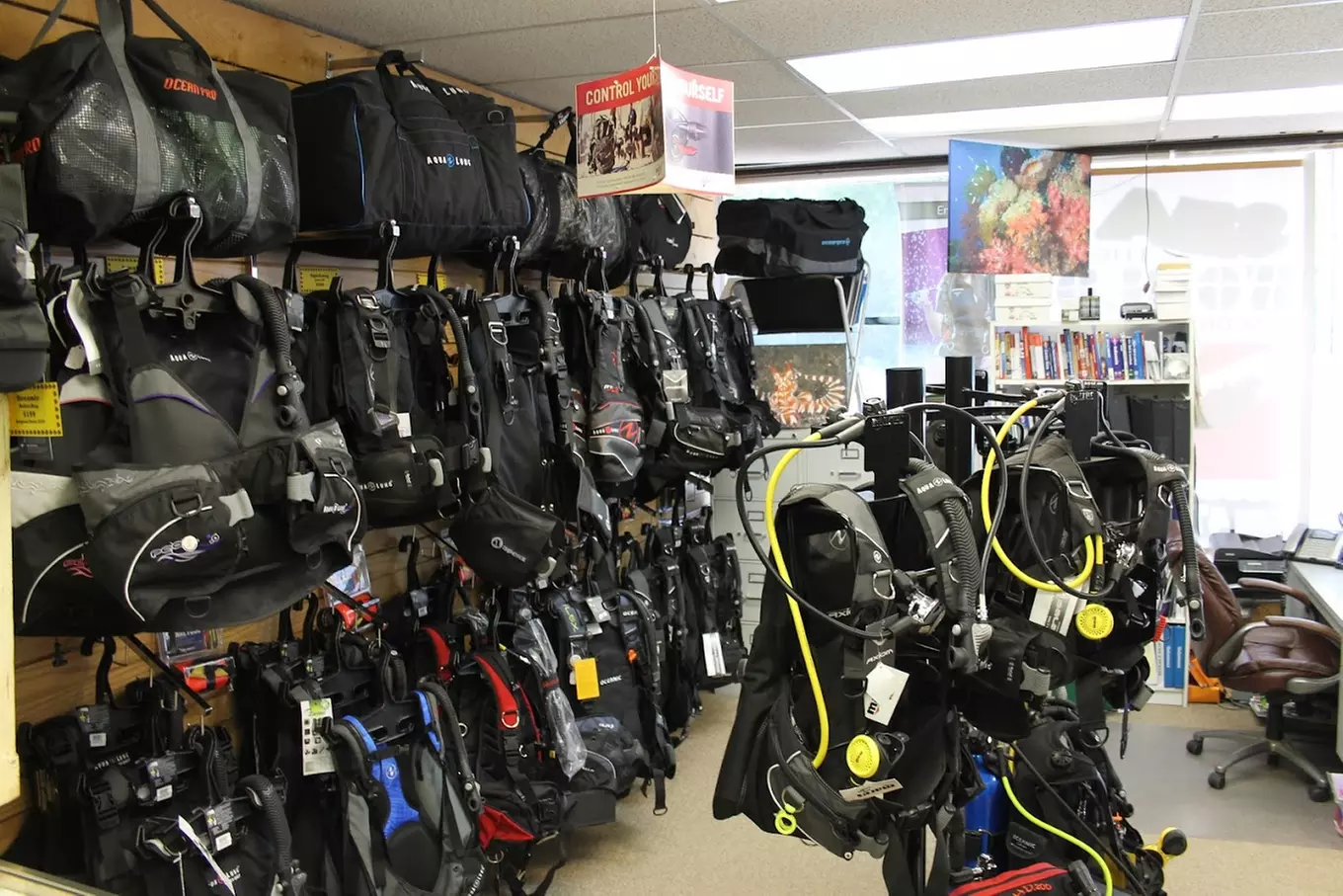 Up to 58% Off on SCUBA at Sea The World