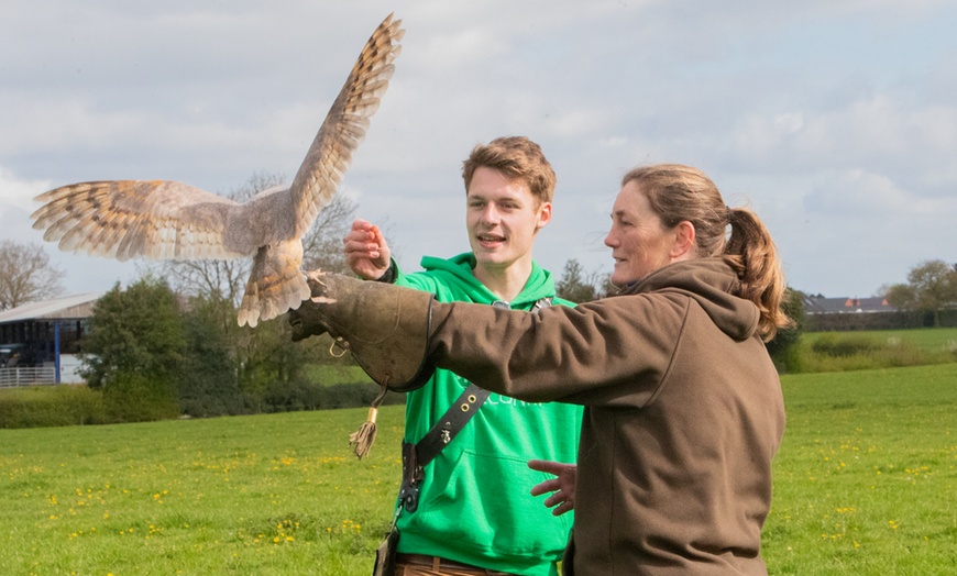 Image 6: Up to 75% Off on Falconry - Recreational at Mercer Falconry