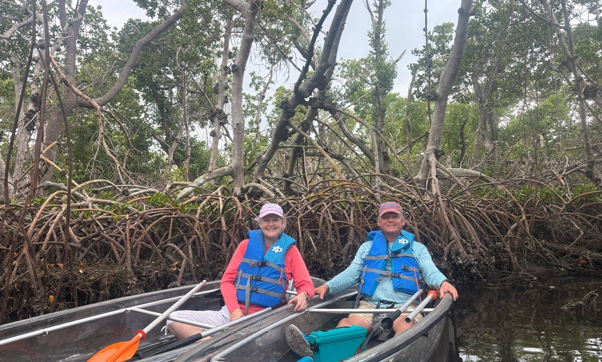 Image 2: 2-Hour Kayak Eco Tour in Emerson Point Preserve - Palmetto, FL