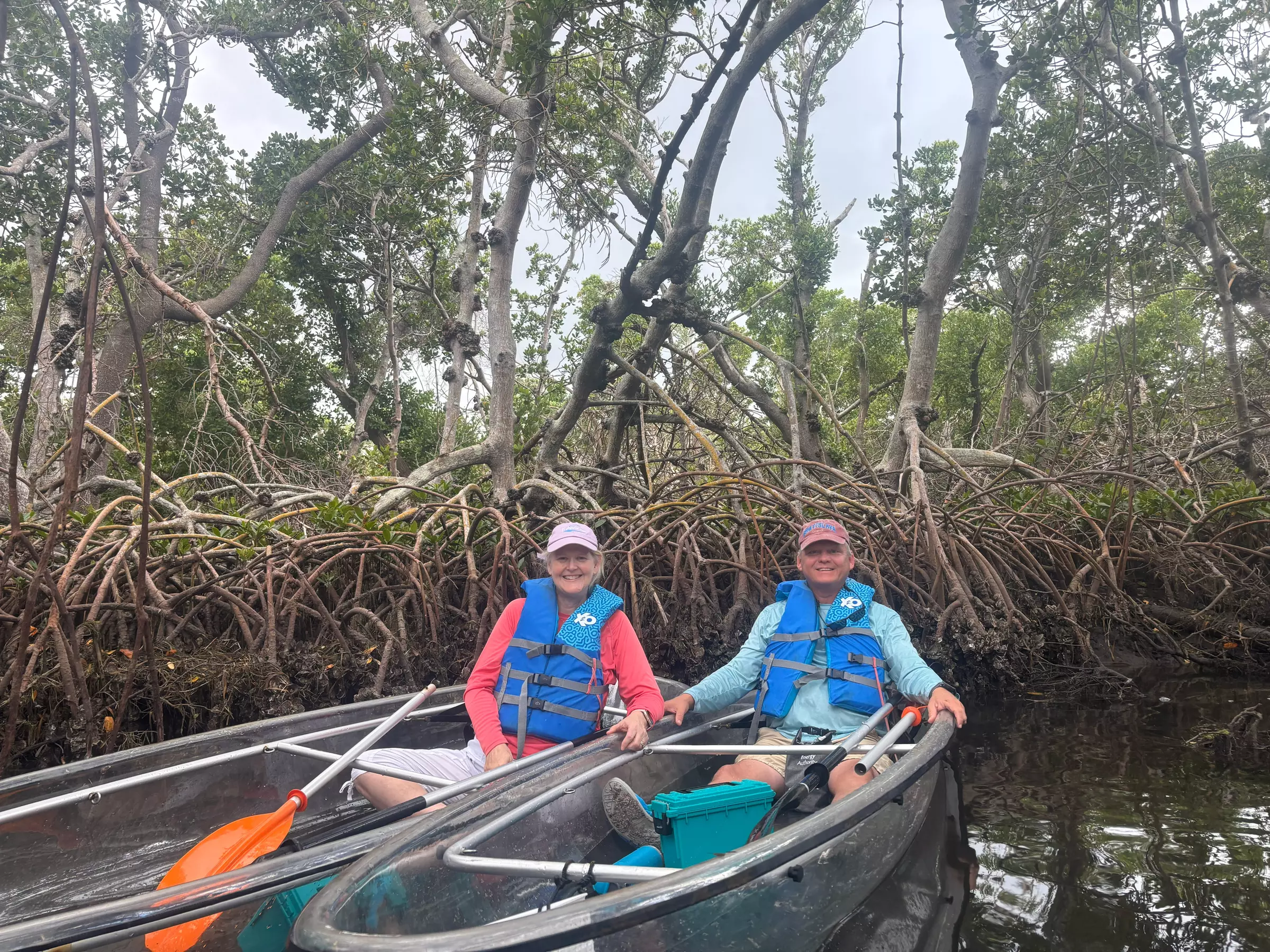 2-Hour Kayak Eco Tour in Emerson Point Preserve - Palmetto, FL