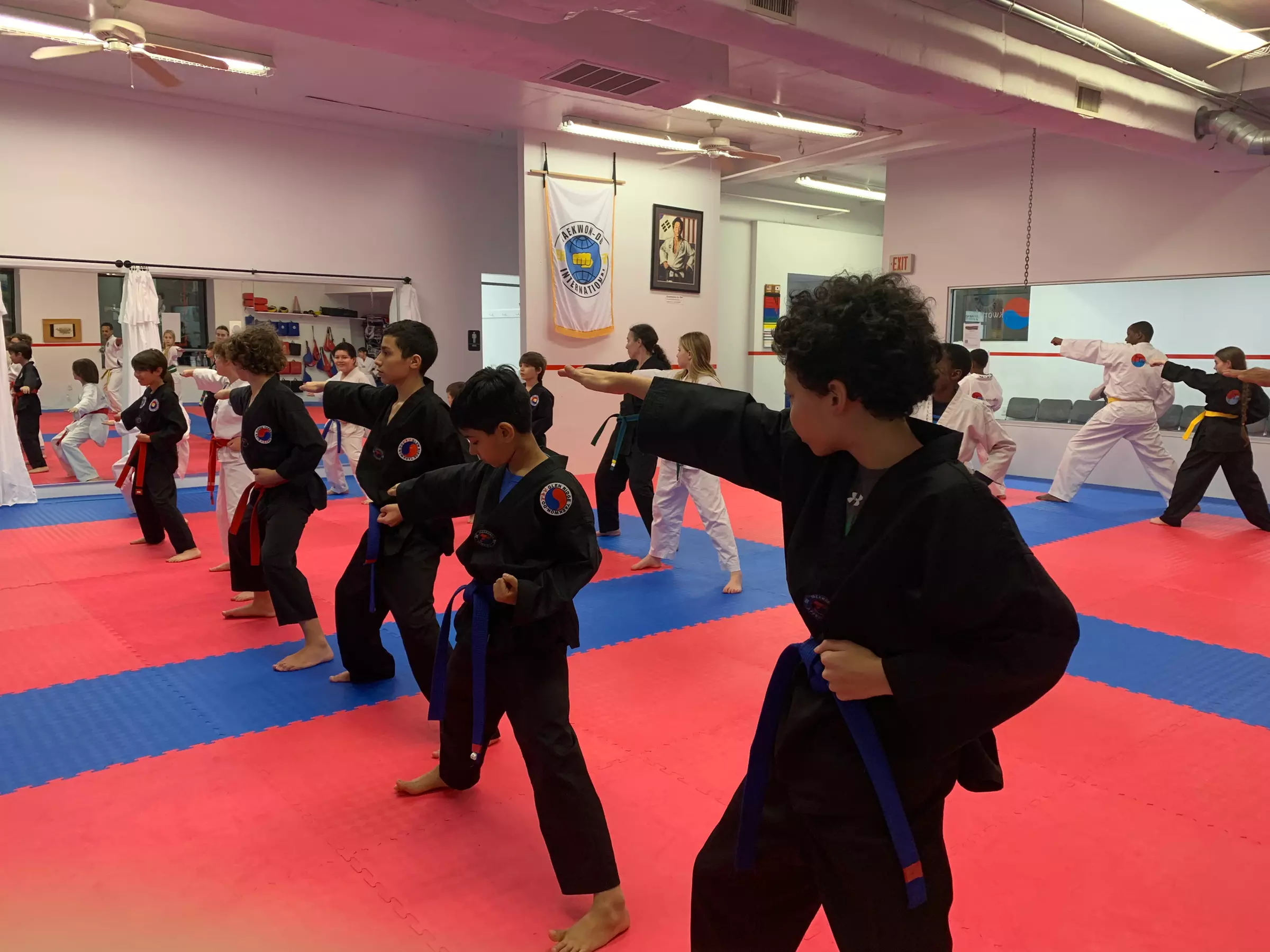 Unleash Your Inner Warrior: Transform with Taekwon-Do 