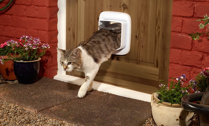 Petsafe cat outlet door installation