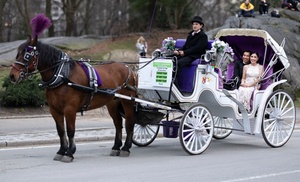 Explore Central Park with a Choice of Horse-drawn Carriage Tour!