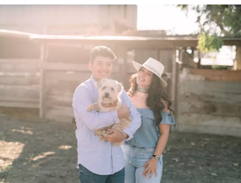 Up to 38% Off on Pet Daycare at AAA Dog Boarding - Primary Image