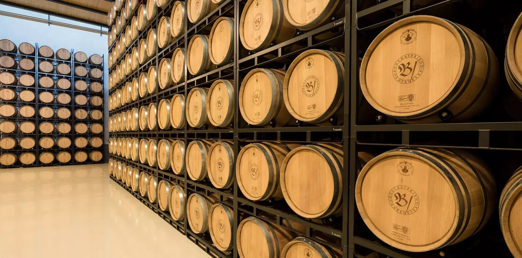 Visita guiada a la bodega y cata de vino en Bodegas Briego