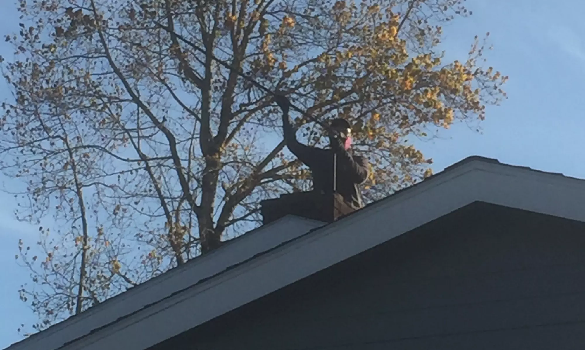 Up to 31% Off on Chimney Sweep at Chimney Pioneer - Primary Image