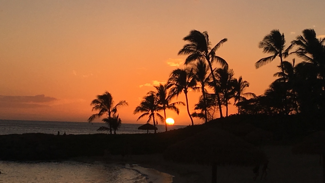 Guided Tour: Explore or Romance Under  the Stars Above Hawaii