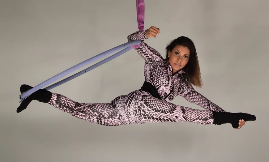 Image 1: Hasta 42% de descuento en Clase de baile en Charlot Aerial Art