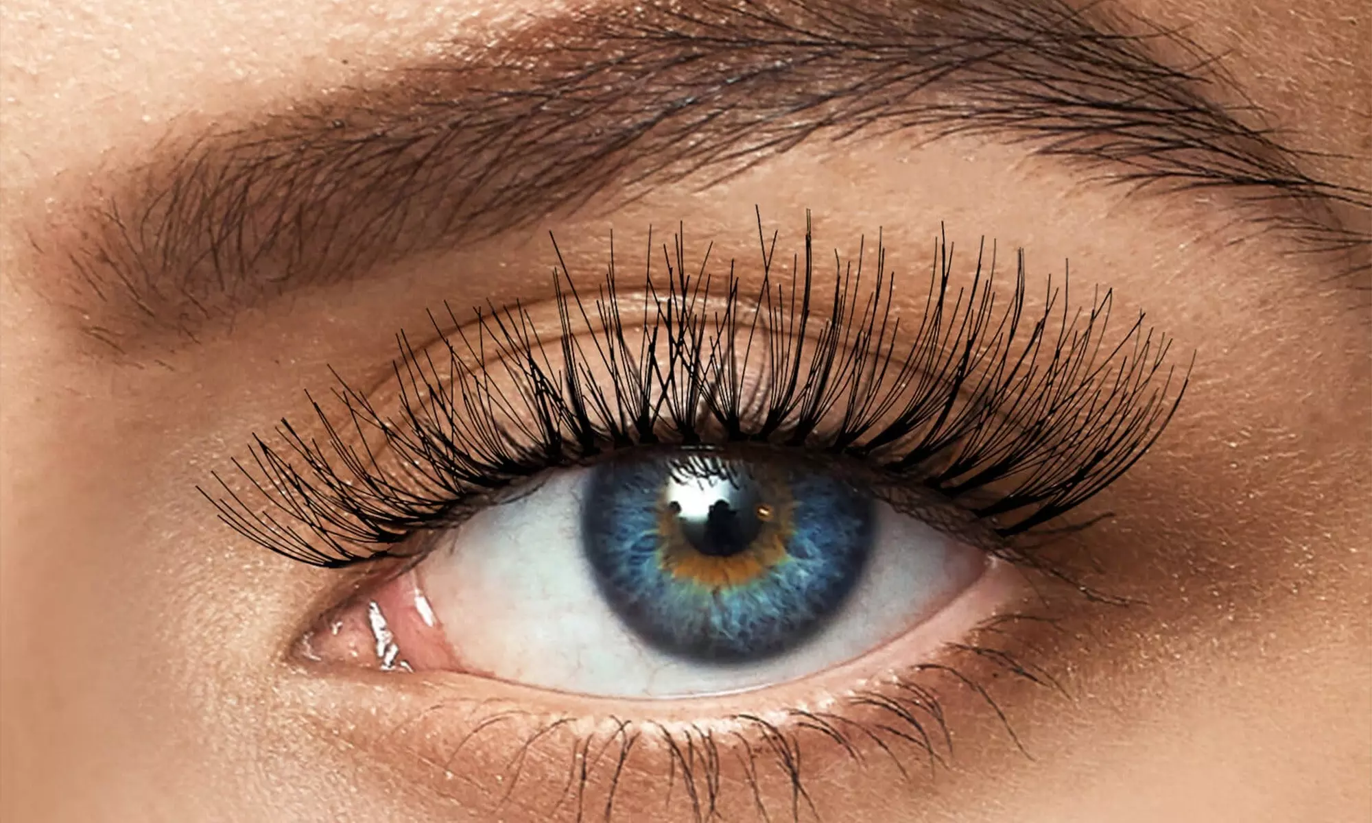 Get Perfectly Shaped Eyebrows with Expert Waxing Service at MODERN LASHES & BROWS LLC - Primary Image