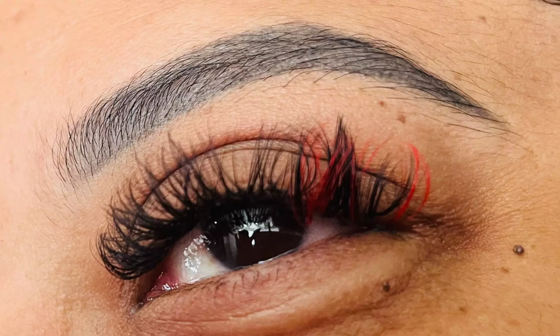 Lashed & Lit offers Classic, Hybrid, and Volume eyelash extensions with up to 50% off for a stunning eye transformation - Second Medium