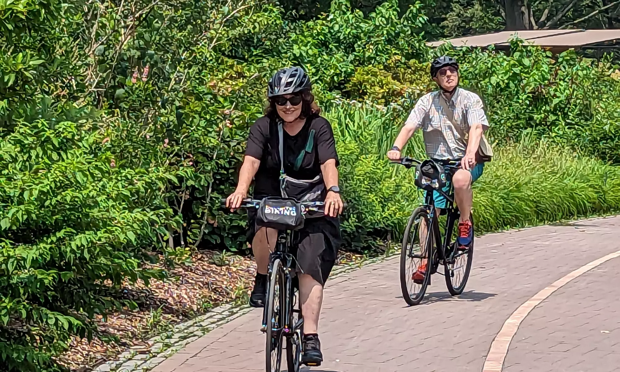 Up to 57% Off on Bike Tour at Freewheelin' Bike Tours - Primary Image