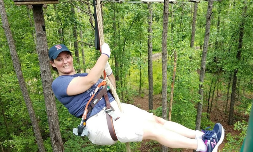Image 3: Thrill in the Treetops: Aerial Adventure Course for 2–8 Participants