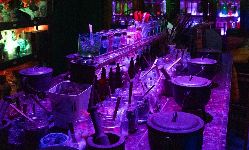 Image 2: Witchcraft & Potions Experience