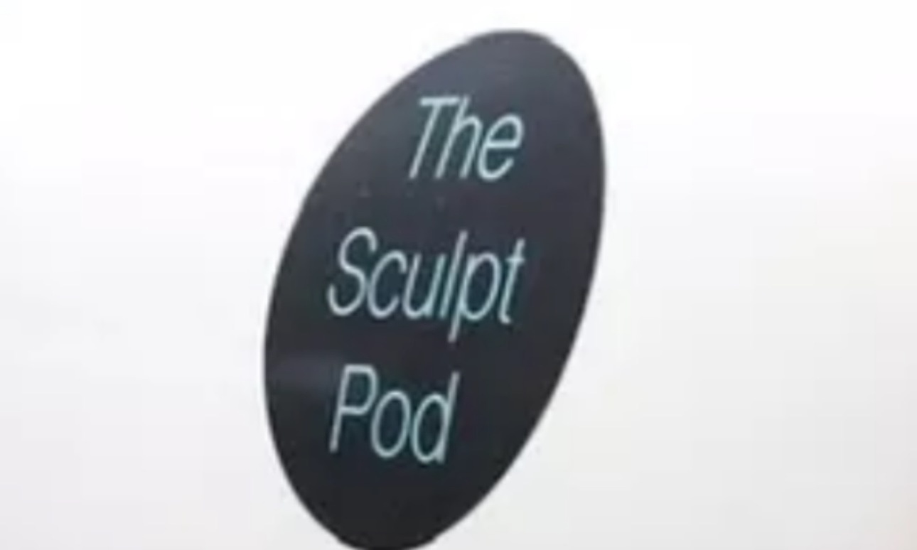 One or Three Sculpt POD Session 