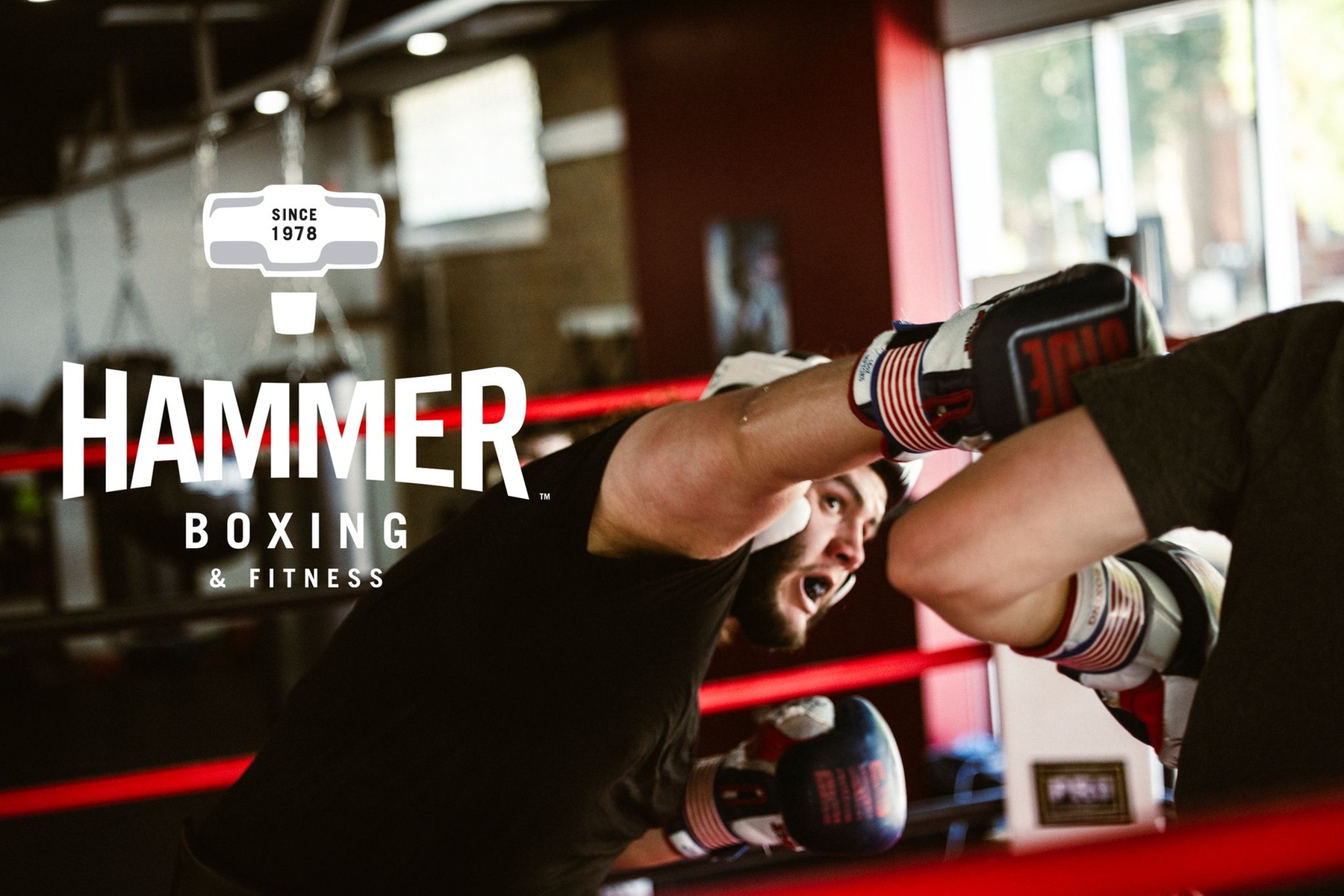 Explore a Range of Gym Classes and Membership Options