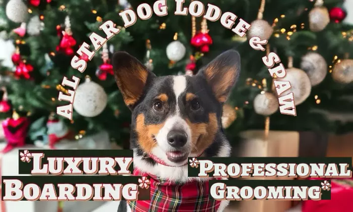 Up to 25% Off on Kennel / Pet Boarding at All Star Dog Lodge & Spaw - Primary Image