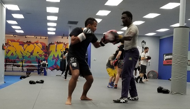 What to expect media