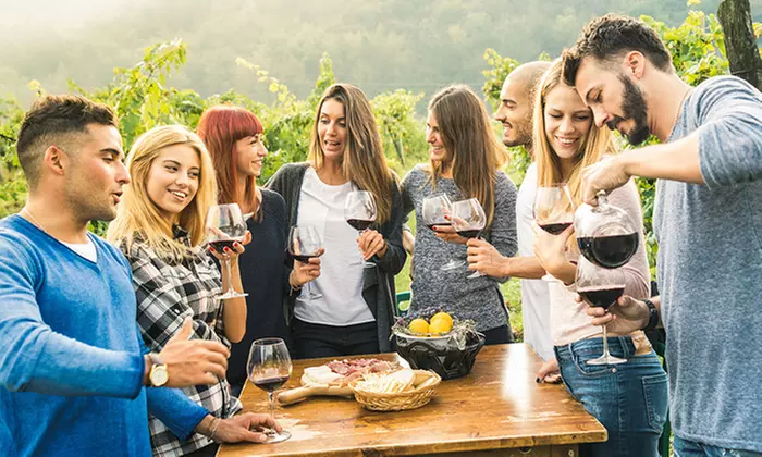 Up to 50% Off on Wine / Vineyard Tour at Texas Winos