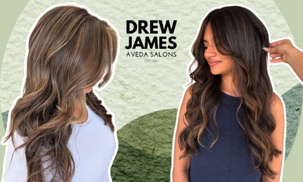 Partial Highlights with Bond-Building & Strengthening Color Treatment, Shine & Tone Refresh & Women's Haircut & Style -  Drew James Aveda Salons