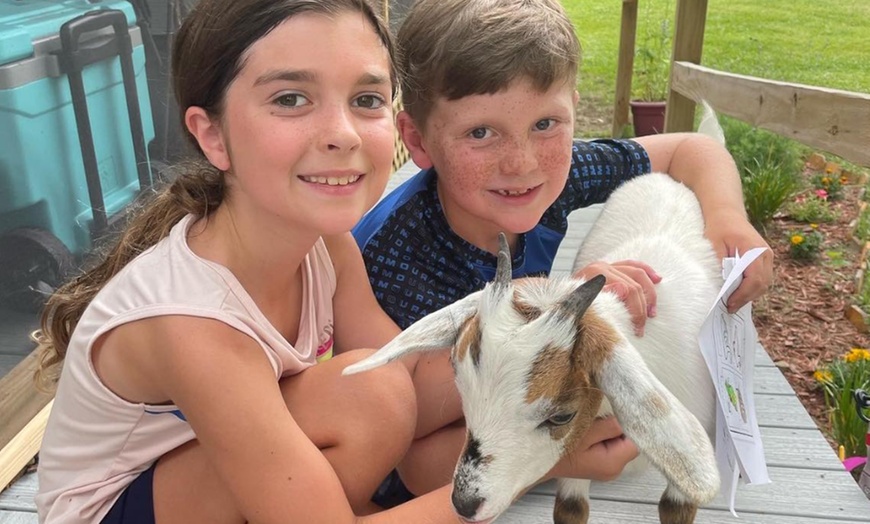 Image 8: Zookeeper for a Day Experience – Sunset Wildlife Connection Florida