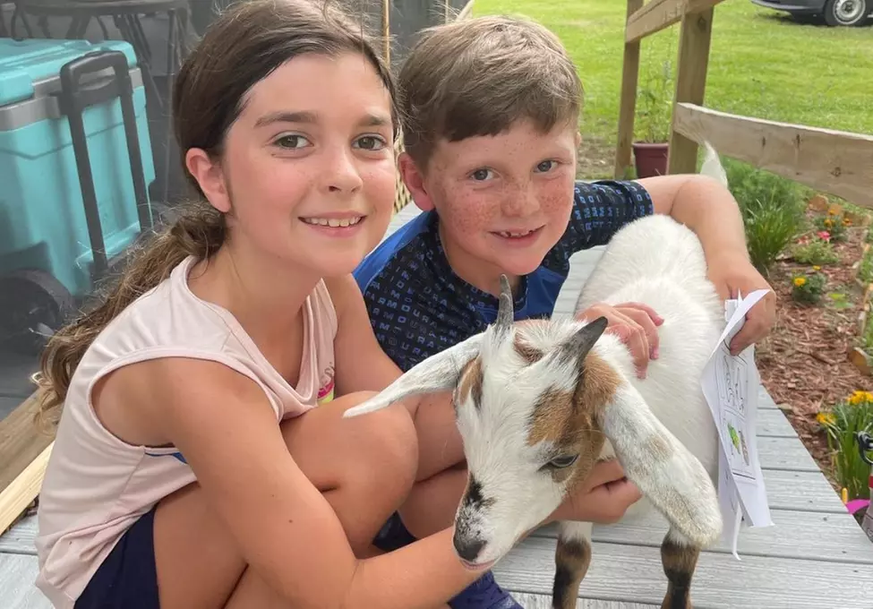 Zookeeper for a Day Experience – Sunset Wildlife Connection Florida