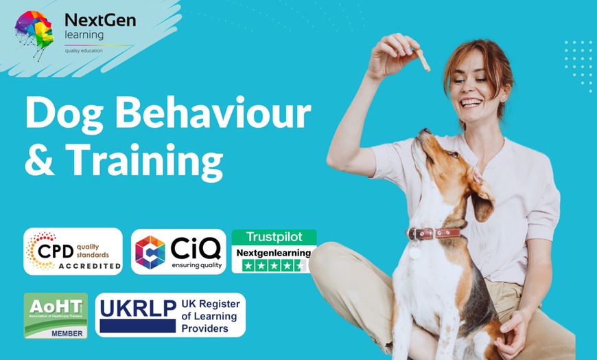 Image 1: Dog Behaviour & Training - Online Course at NextGen Learning