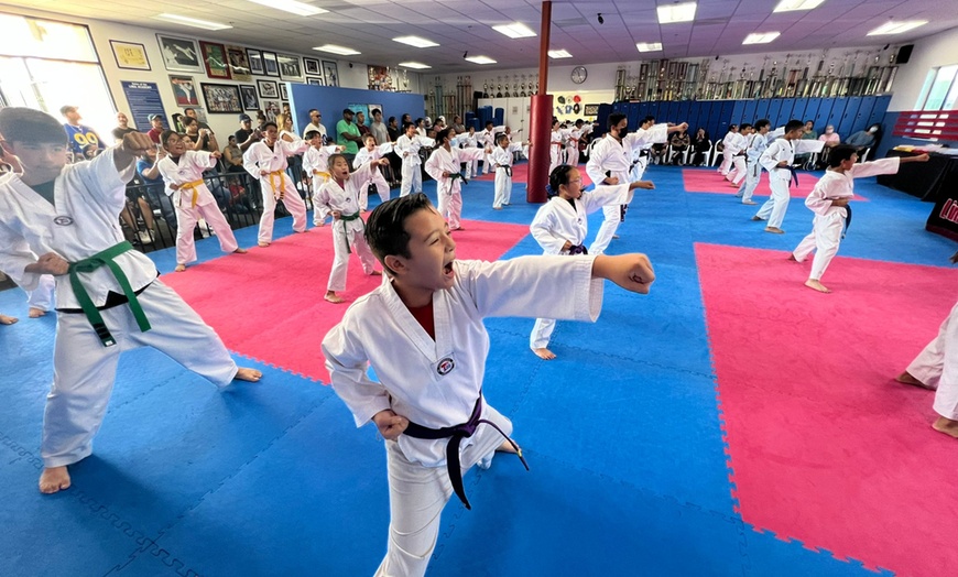 Image 13: Brazilian Jiu Jitsu & Taekwondo Trial Classes 