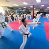 Image 13: Brazilian Jiu Jitsu & Taekwondo Trial Classes 