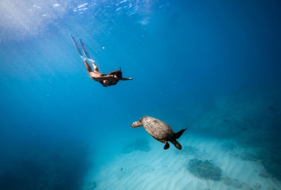 What to expect media