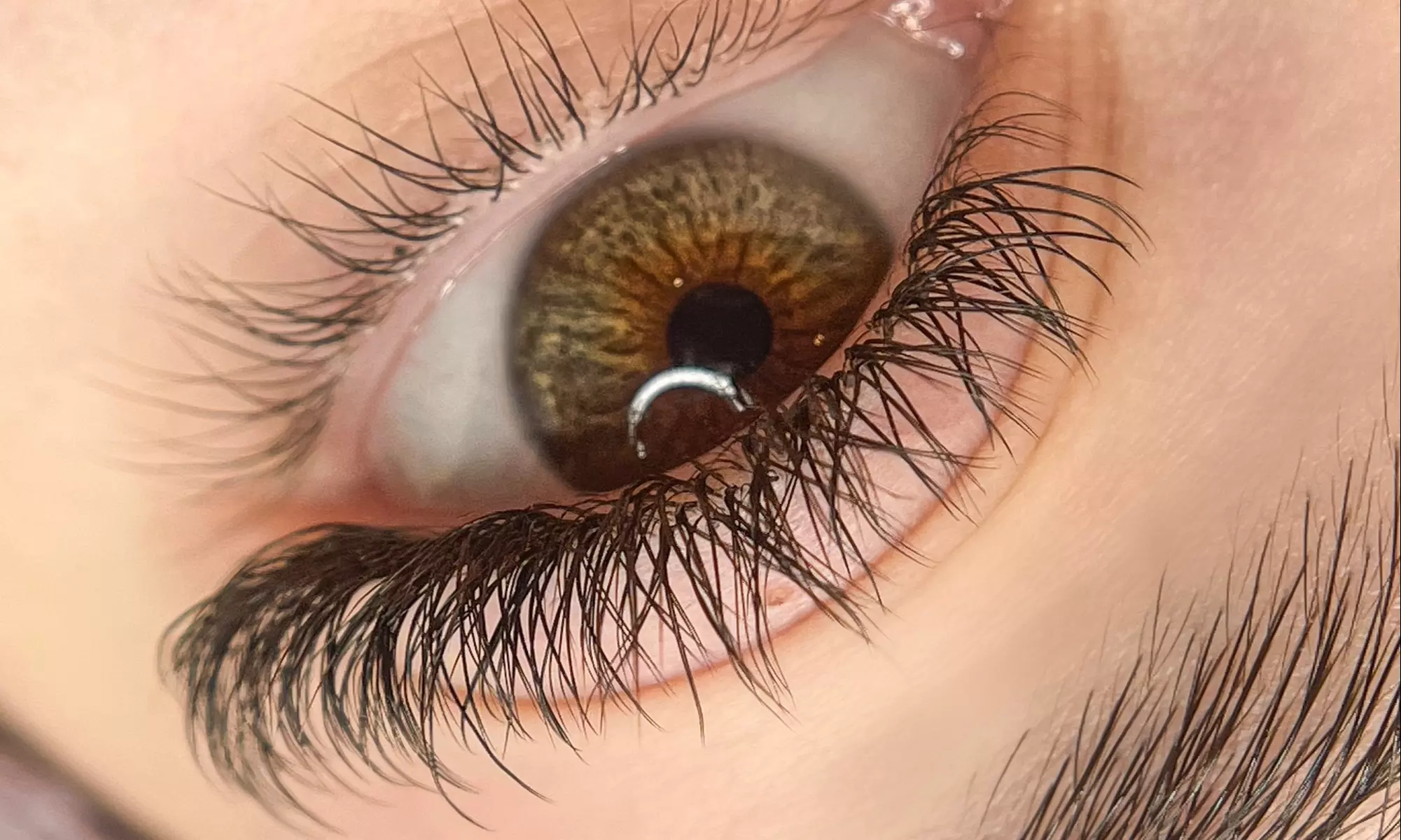 Elevate Your Lashes with Eyelash Extensions at Naturyl Brows (Up to 37% Off) - Primary Image