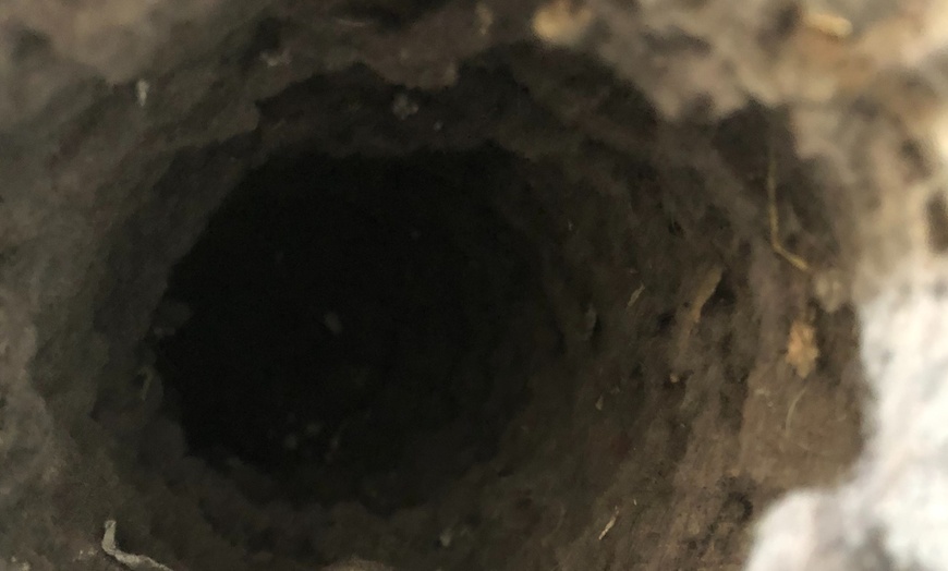 Image 5: Get Optimal Air Quality with Air Duct, Dryer Vent Cleaning or Both