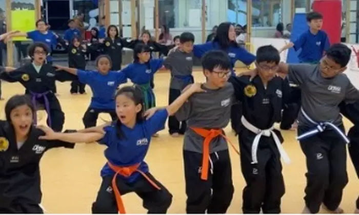 Boost Confidence:Tailored Martial Arts Classes(Taekwondo) for All Ages