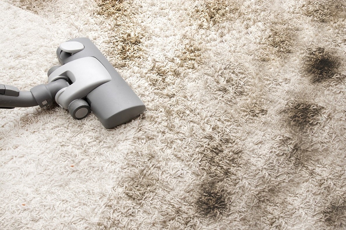 All State Cleaning offers carpet and upholstery cleaning for up to 45% off, tackling pet stains and more.