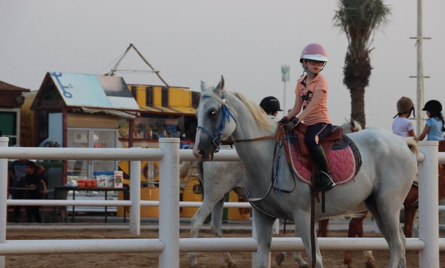 Image 4: Al Madam 2 Stables, 45-minute horse riding lesson